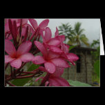 Tropical Plumeria cards