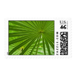 Tropical Stamps