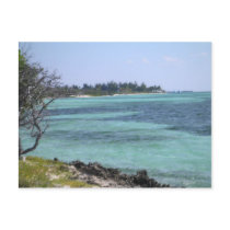 Tropical Postcard