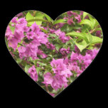 Tropical Purple Bougainvillea Heart Sticker