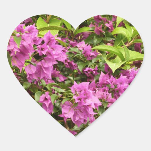 Tropical Purple Bougainvillea Heart Sticker