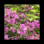 Tropical Purple Bougainvillea Magnet