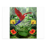 Tropical Rain Forest Post Cards