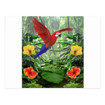 Tropical Rain Forest Post Cards
