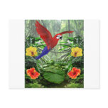 Tropical Rain Forest Post Cards