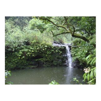 Tropical Rain Forest Waterfall print
