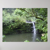 Tropical Rain Forest Waterfall Print