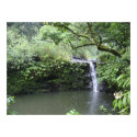 Tropical Rain Forest Waterfall posters by czazzlem Tropical Rain Forest Waterfall posters