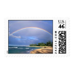 Tropical Rainbow Stamp