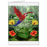 Tropical Rainforest Greeting Cards