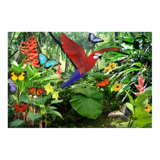 Tropical Rainforest Poster print