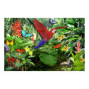 Tropical Rainforest Poster posters by RCGDesign001 Tropical Rainforest Poster posters