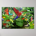 Tropical Rainforest Poster