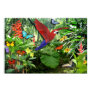 Tropical Rainforest Poster