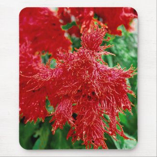 Tropical Red Flower Floral Closeup mousepad