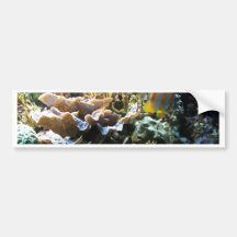 Tropical Reef 2 Bumper Stickers