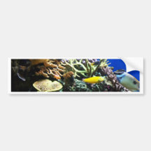 Tropical Reef 3 Bumper Sticker