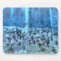 Tropical Reef MousePad by abbymorgan Tropical Reef MousePad