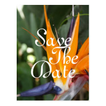 Tropical Save the Date Postcards