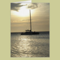 Tropical Scenes cards