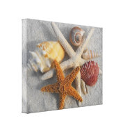 Tropical Seashell/Starfish White Sand Photo Canvas wrappedcanvas