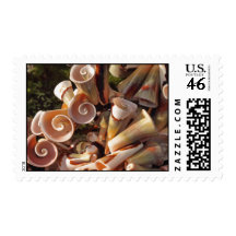 Tropical Seashells Postage