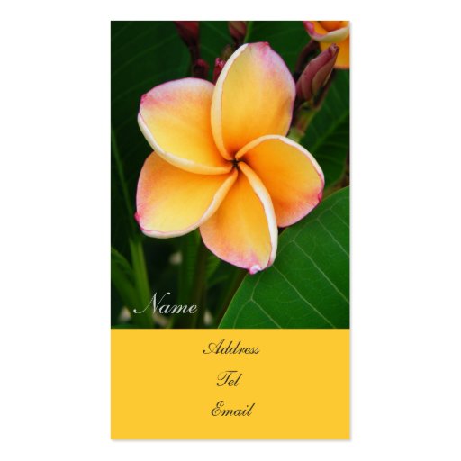 Tropical Senses Business Cards (front side)