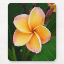 Tropical Senses mousepads