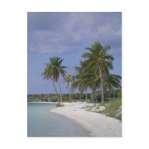 Tropical Settings postcards