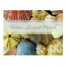 Tropical Shells New Address Postcards