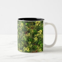 Tropical Shrubs mugs
