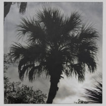 Tropical Silhouette American MoJo Napkin napkins