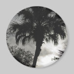 Tropical Silhouette magnets