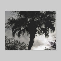 Tropical Silhouette postcards
