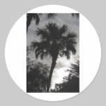 Tropical Silhouette stickers