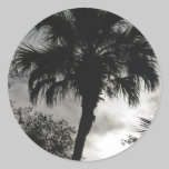 Tropical Silhouette stickers