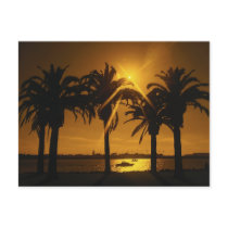 Tropical Sky Background Post Card