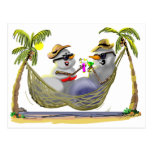 tRoPiCaL sNoWcOuPLe Postcards