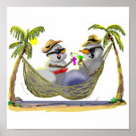 tRoPiCaL sNoWcOuPLe posters