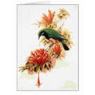  - Vintage Birds with Delightful wildlife scenes full of detail and charm on cards and invitations.: Sizes 