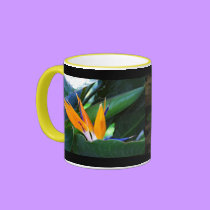 Tropical Splendor - mug by Horseshoes3 Tropical Splendor - mug