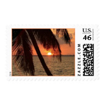 Tropical Splendor - postage stamps