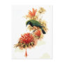 Tropical Splendor Postcard