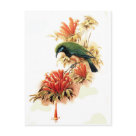  - Vintage Birds with Delightful wildlife scenes full of detail and charm on cards and invitations.: Sizes 