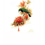 Tropical Splendor Tshirts