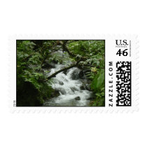 Tropical Stream postage