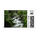 Tropical Stream Postage