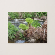 Tropical Stream puzzles