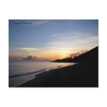 Tropical Sunrise Postcard