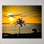 Tropical Sunrise Posters